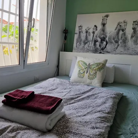 Grosses Haus Mit Garten Und Blick Auf Kanarische Huegellandschaft Semesterbostad